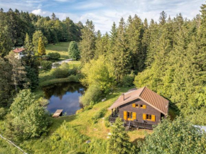 Chalet moderne avec cheminée et animaux bienvenus proche de Gérardmer - FR-1-589-778